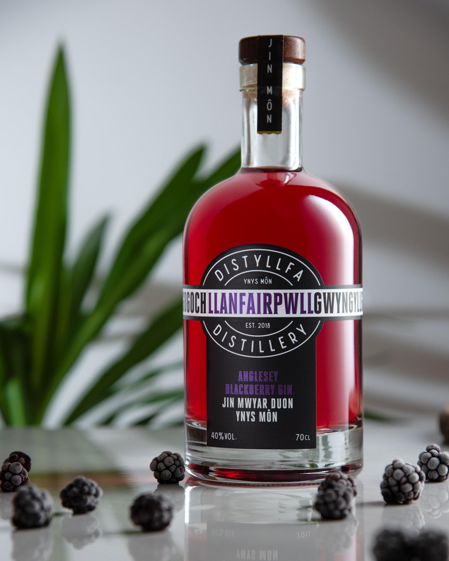 Autumn Blackberry Gin