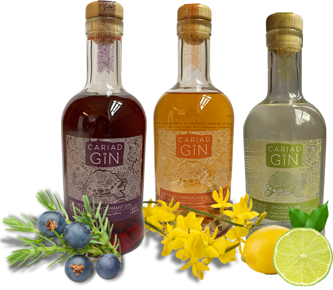 Cariad Gin @ Hand Picked by Llanfairpwll Distillery